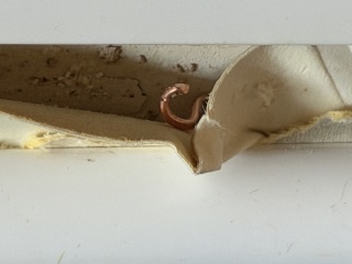 Does anyone know what this is?