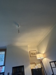 Can DIY painting achieve a professional finish for halls and downstairs?