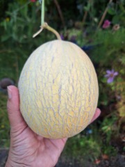 The Year Round Nigel Slater Discussion Thread - Part 5