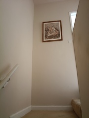 What could I put above an olive tree on the stairs?