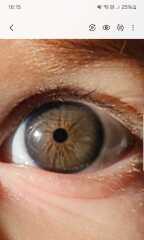 What colour are my toddlers eyes?