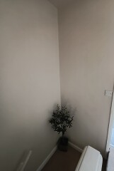 What could I put above an olive tree on the stairs?