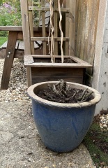 How to remove a very pot bound plant from a ceramic planter?