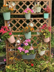 Adding trellis to stop neighbour intrusion
