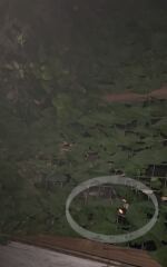 Advice on neighbours dog…neglected.