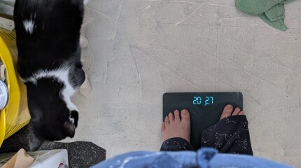To ask for advice and support around losing 6+ stone between now and May?