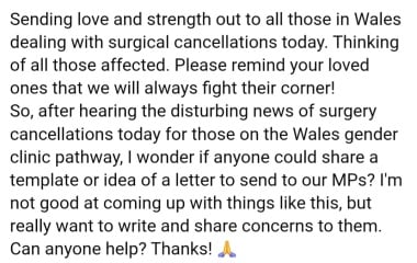 The Welsh Gender Service (WGS):  a "potential Service of Concern"