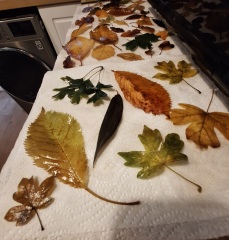 The Year Round Nigel Slater Discussion Thread - Part 5