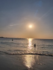 Solar eclipse this evening.