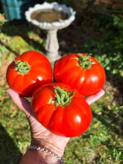 The Year Round Nigel Slater Discussion Thread - Part 5