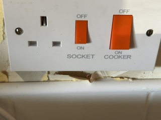 Does anyone know what this is?