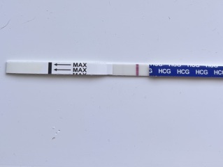 Faint positive line after two cycles trying to conceive?