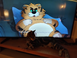 Alley Cats on Netflix