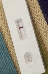 Pregnant??🥺