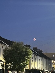 Lunar Eclipse !