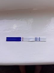 Pregnancy test