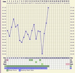 Can anyone help me interpret my temping chart!