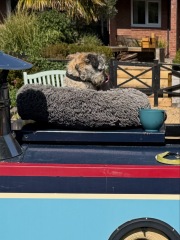 The Year Round Nigel Slater discussion thread part 6