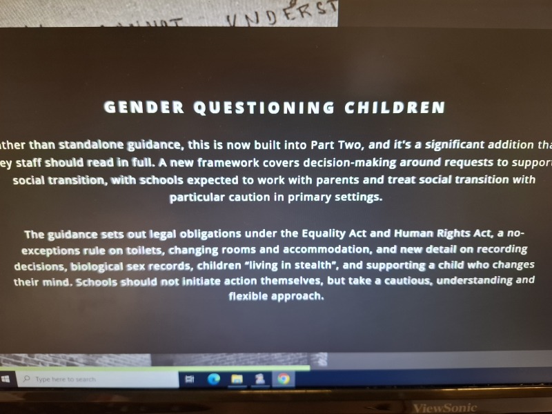 Secondary School Policy Updates post KCSIE 2026 with regard to single sex spaces, trans identifying children etc - have you seen any?