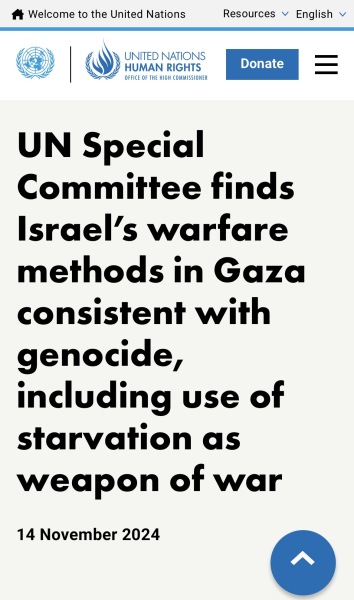To say all pro-Palestinians should watch Fauda on Netflix?