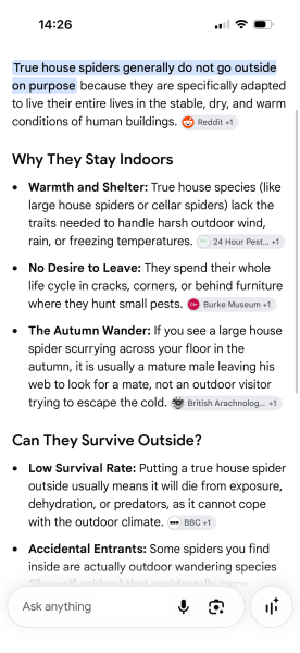 Anyone successfully conquered arachnophobia?