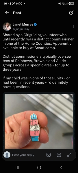 More Girl Guides Gender Nonsense