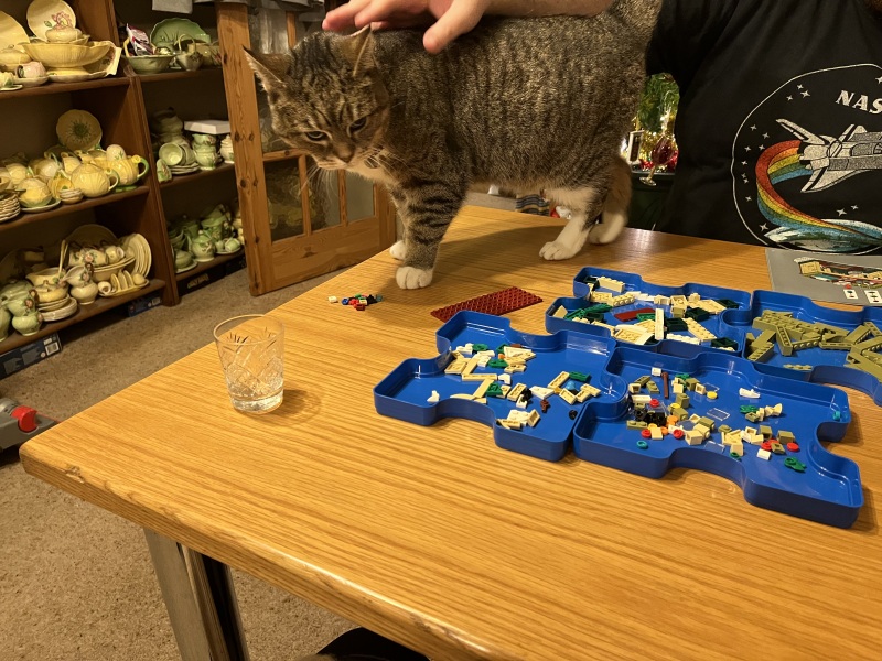 Rodents and Risk Assessments - the Excellent Cats applaud Gizmo's recent achievements