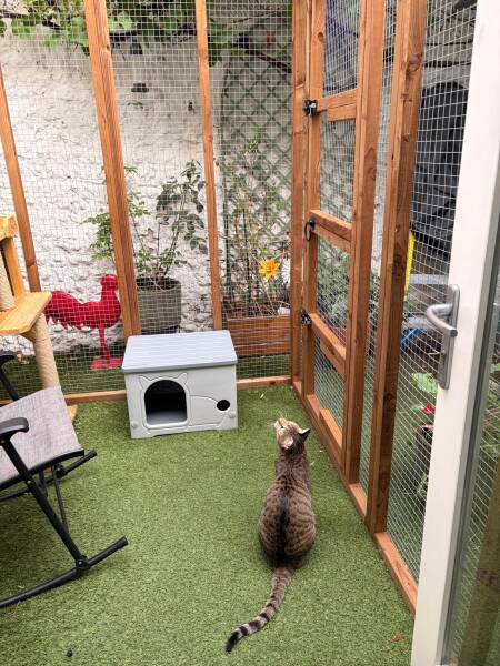 Catio company recommendations?