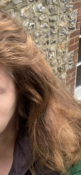 Literally rust coloured hair after years of dyeing..