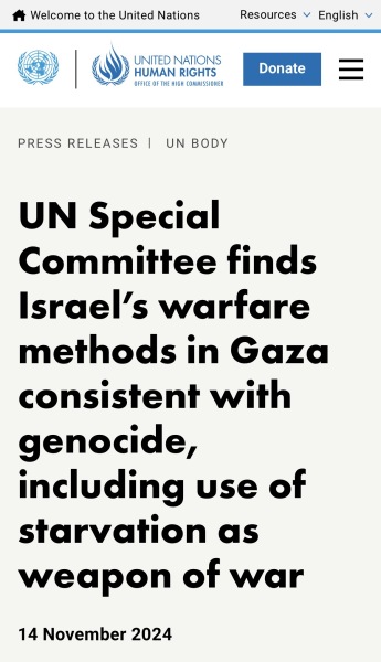 To say all pro-Palestinians should watch Fauda on Netflix?