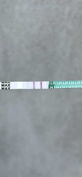 Am i ovulating?