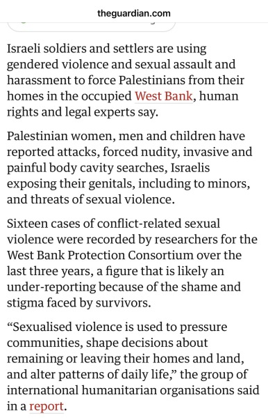 To say all pro-Palestinians should watch Fauda on Netflix?