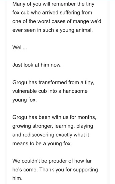 Every sentence on a new line