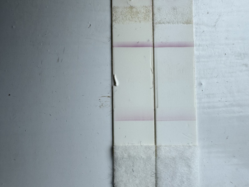 Possible misaligned line on early Clearblue test at 11dpo?