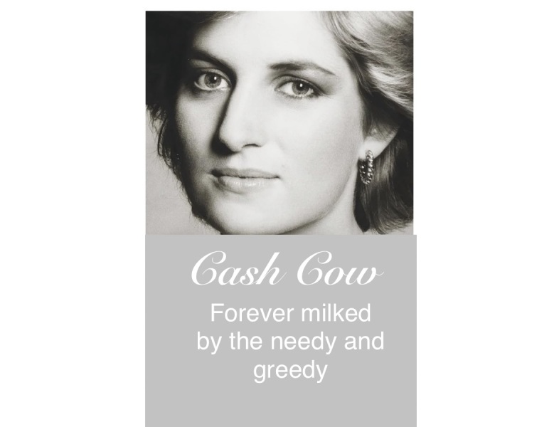 Earl Spencer's book on Diana is stolen