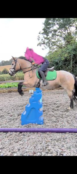 Under horsing DD