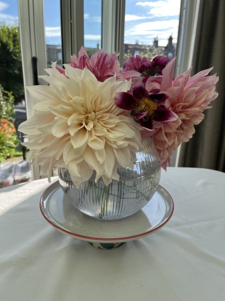 Dahlia Watch 2026
