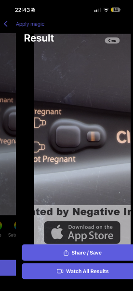 Pregnancy