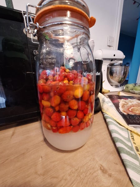 The Year Round Nigel Slater discussion thread part 6