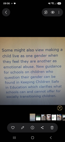 Secondary School Policy Updates post KCSIE 2026 with regard to single sex spaces, trans identifying children etc - have you seen any?