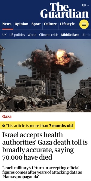 To say all pro-Palestinians should watch Fauda on Netflix?