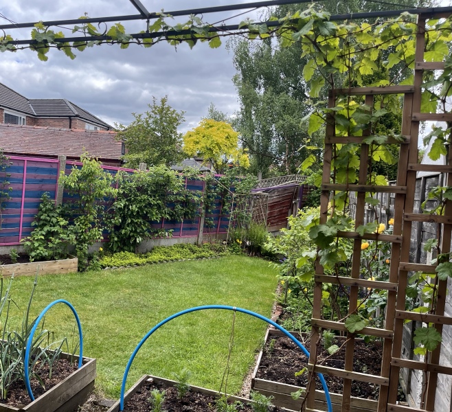 AIBU to create an orchard in my suburban garden?