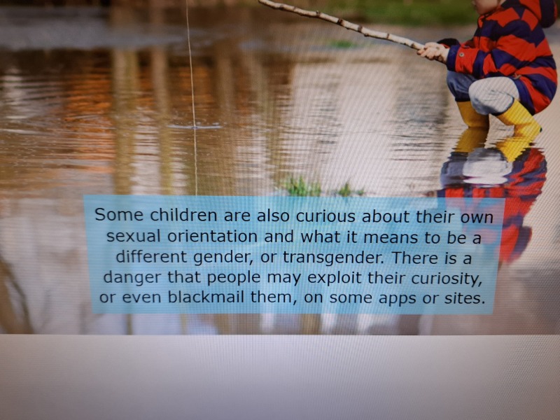 Secondary School Policy Updates post KCSIE 2026 with regard to single sex spaces, trans identifying children etc - have you seen any?