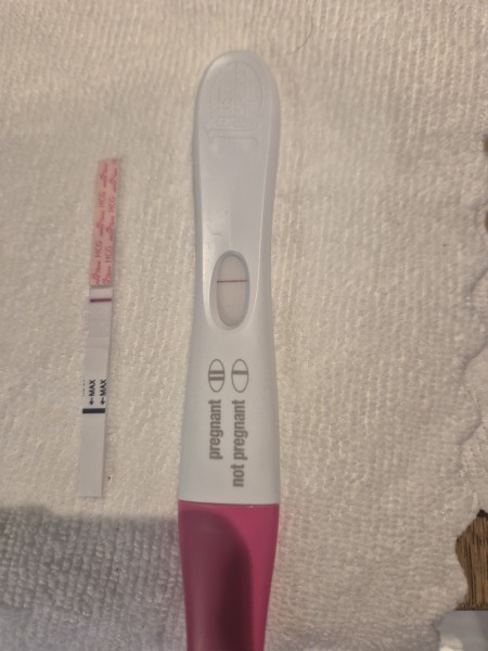 TTC September/October 26