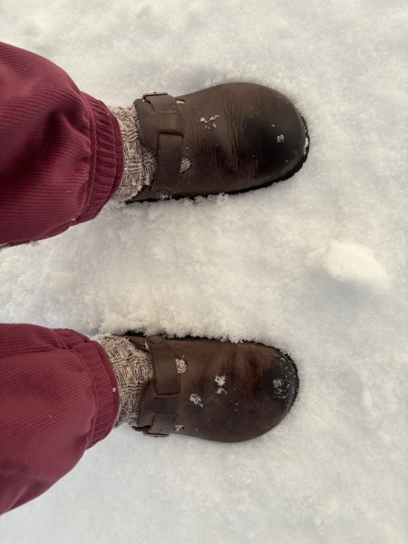 Are Birkenstock Bostons worth buying this late in the year?