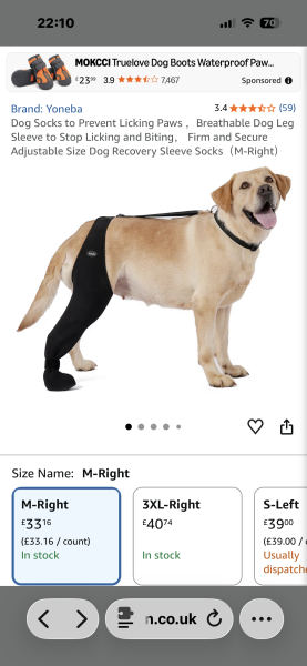 Paw protection