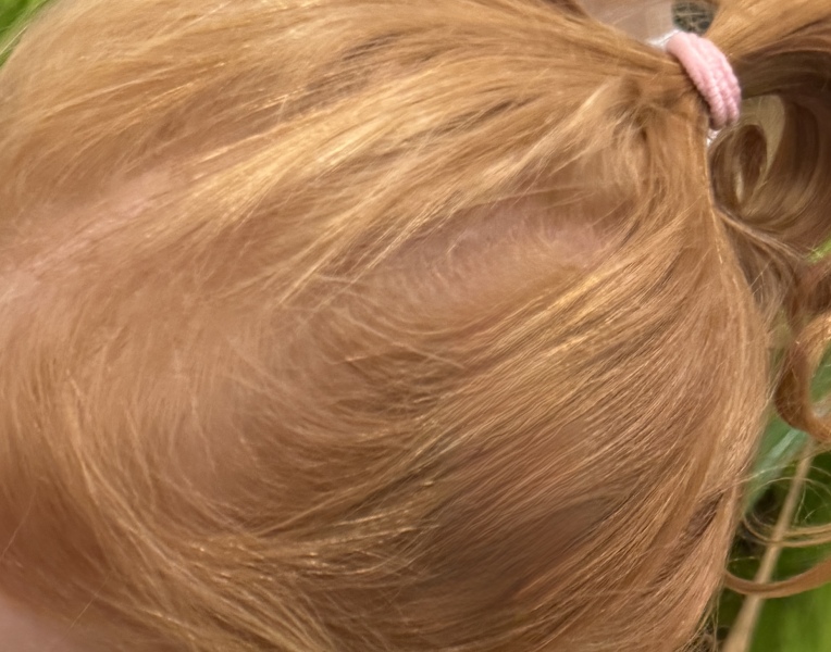 Strawberry blonde/ginger hair