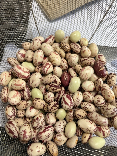 The Year Round Nigel Slater discussion thread part 6