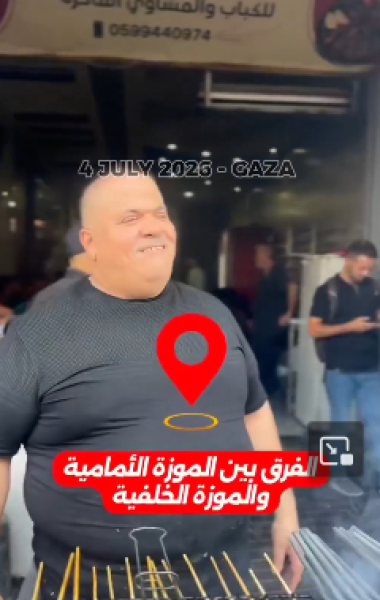 To say all pro-Palestinians should watch Fauda on Netflix?