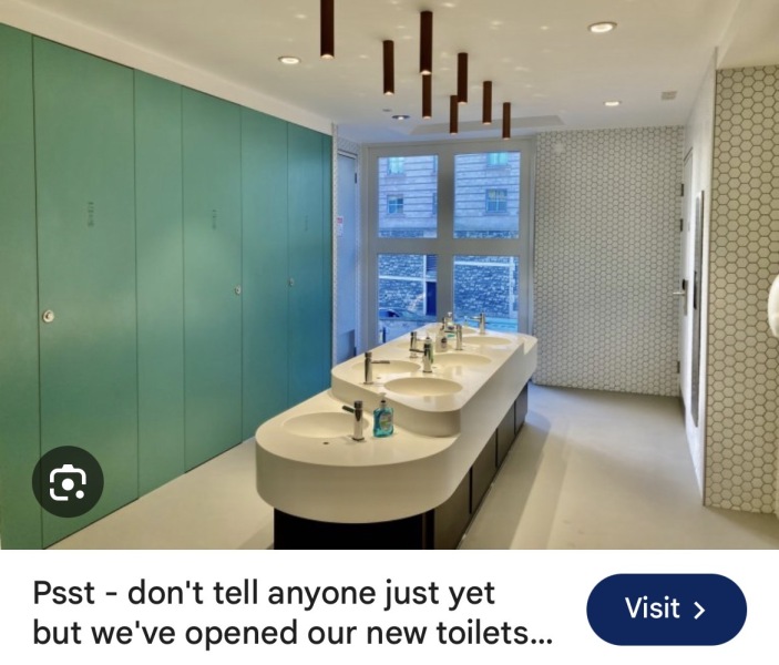 Bristol Watershed toilets situation.